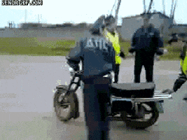 police fail GIF by Cheezburger