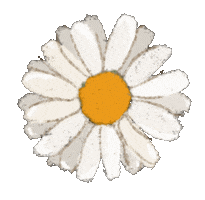 Habits Skin Lab Sticker