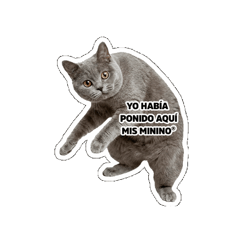 Seguroesporminino Sticker by Minino Plus®