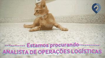GIF by Fretefy