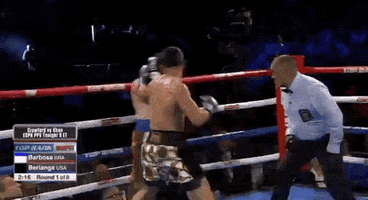 toprank sports boxing fighting boxeo GIF