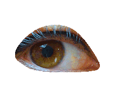 Dwightrawson Sticker