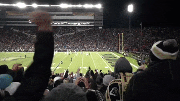 Excited Jeffbrohm GIF by Purdue Sports