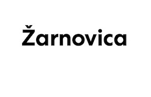 Volby Sticker by zaludi