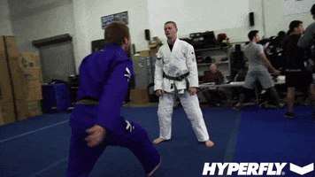 Sport Grappling GIF by Hyperfly