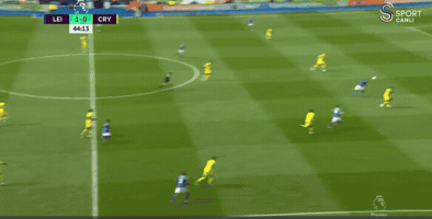 Leicester GIF