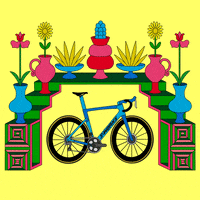 bike cycling GIF by Specialized Bicycles