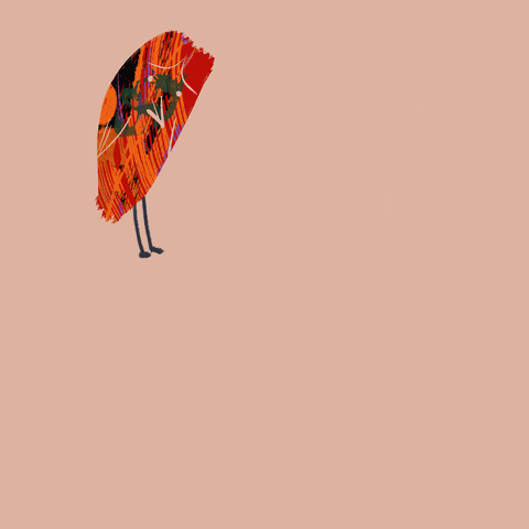 What GIF