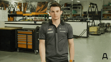 Indy 500 Racing GIF by Arrow McLaren IndyCar Team
