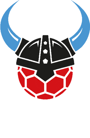 HC Rhein Vikings Sticker