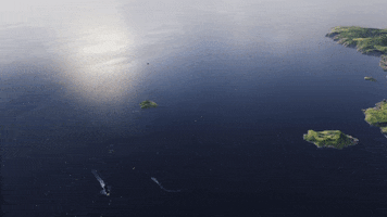 World Of Warships GIF