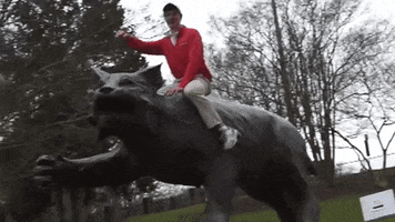 ride the wildcat GIF by Davidson College