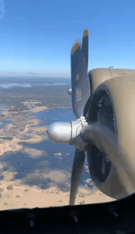 FLAVIATIONcenter GIF