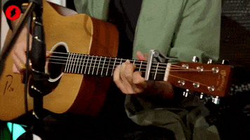 Santiago Cruz Guitar GIF by Shock