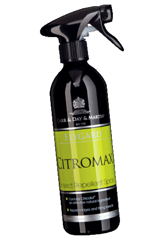 Horse Pony Sticker by carrdaymartin