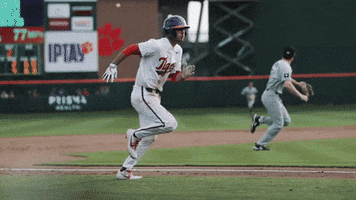 Go Tigers GIF by Clemson Tigers