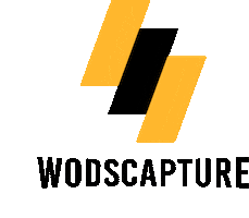 Crossfit Wodscapture Sticker by Gersanchez