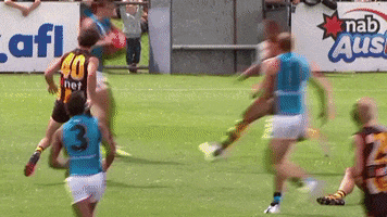 Afl Fend Off GIF by Port Adelaide FC