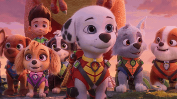 Nickelodeon Smile GIF by Paw Patrol Movies