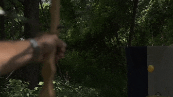 Traditional Archery GIF