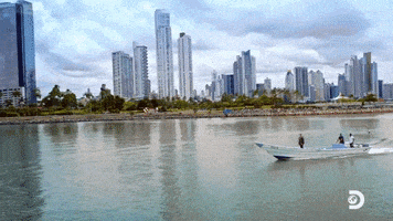 Social Experiment Fun GIF by Discovery