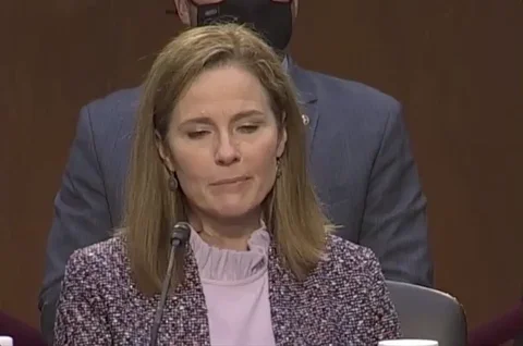 Go Get It Senate Judiciary Committee GIF by GIPHY News