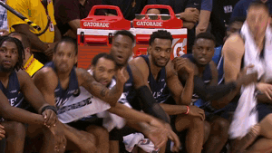 excited minnesota timberwolves GIF by NBA
