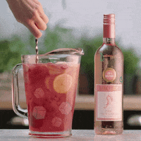 Summer Sun GIF by Barefoot Wine and Bubbly UK