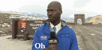 Bison GIF