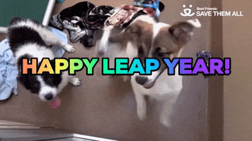 Save Them All Leap Day GIF by Best Friends Animal Society