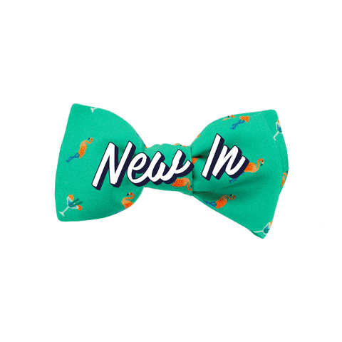 lecolonel_official GIF