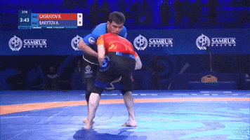 Wrestling Freestyle GIF by flograppling
