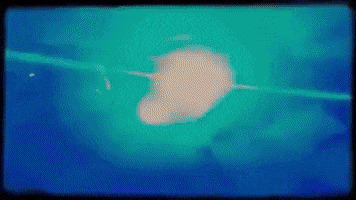 Venice Bitch GIF by Lana Del Rey