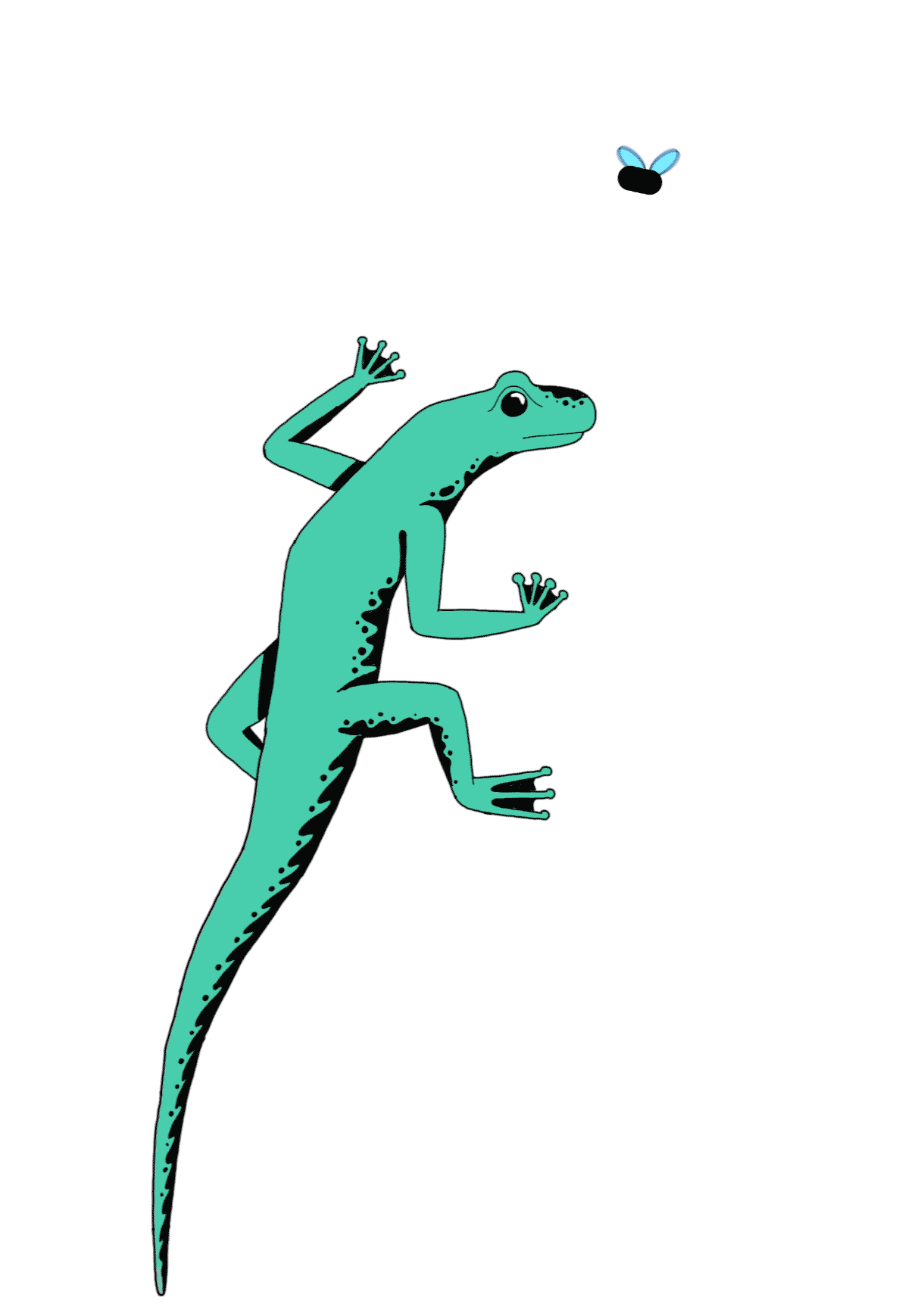 Lizard Chameleon Sticker by Metronomy for iOS & Android GIPHY