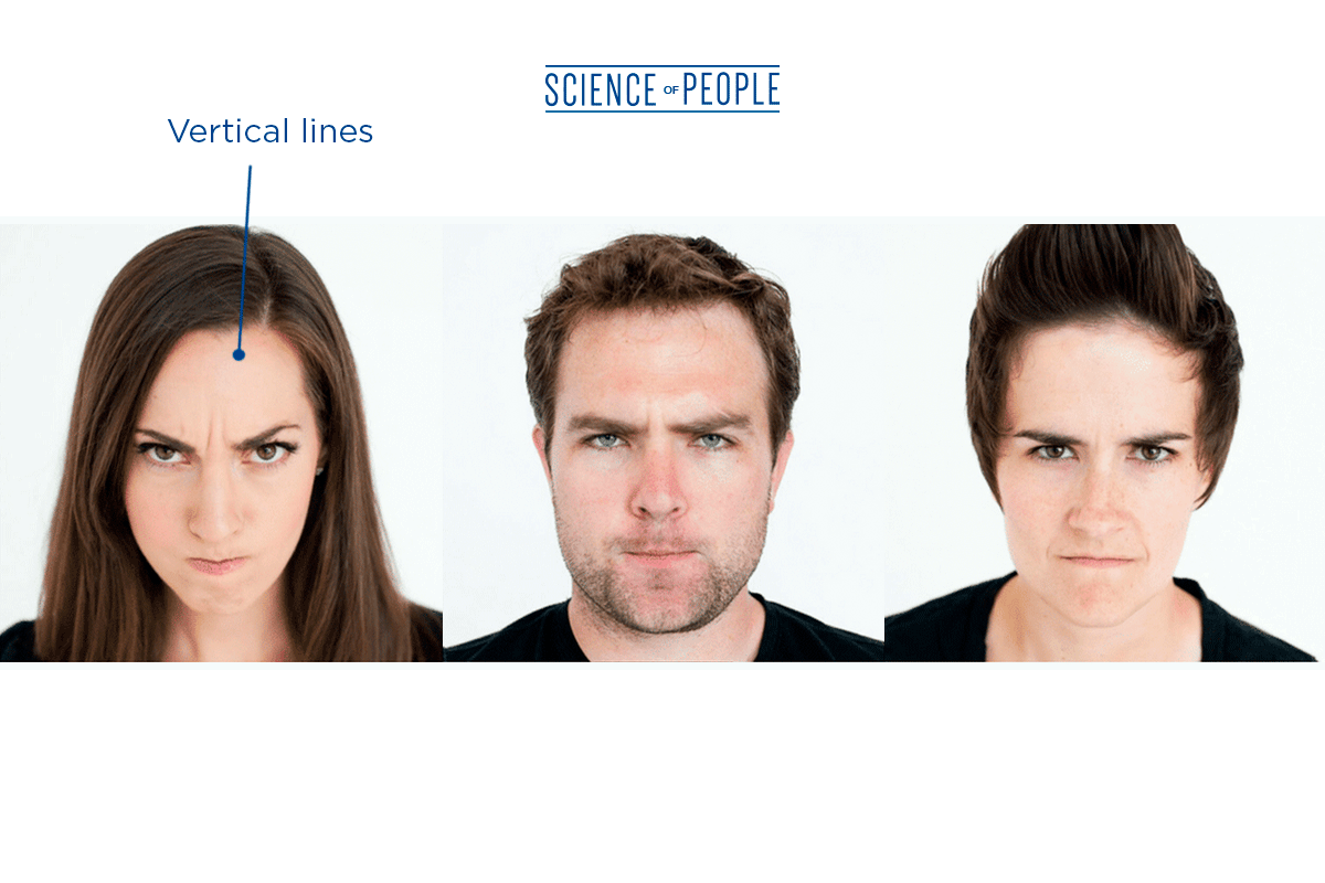 Angry Facial Expression GIF by Vanessa Van Edwards Find & Share on GIPHY