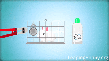 GIF by Leaping Bunny