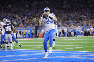 Happy Football GIF by Detroit Lions