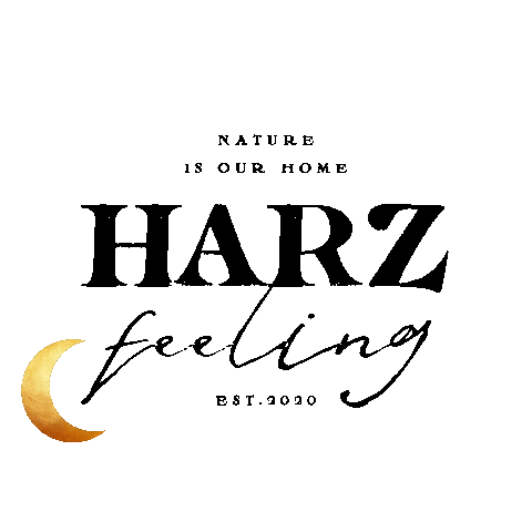 Star Moon Sticker by Harzfeeling