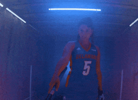 College Sports Lights GIF by Delaware Blue Hens
