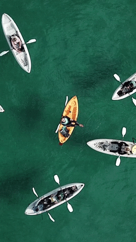 EverydayCalifornia drone san diego kayaking la jolla GIF