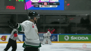 Gks Tychy Yes GIF by Champions Hockey League