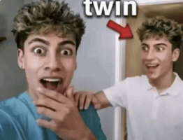Twins Twinning GIF