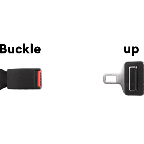Seatbelt Belteibuss Sticker By Gr Ei For Ios Android Giphy