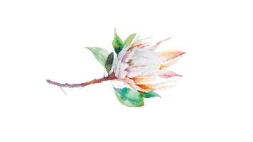 Flower Icf Sticker by ICFLeipzig