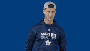 Hockey Hear GIF by Toronto Marlies