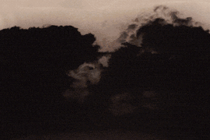 Elartefacto GIF