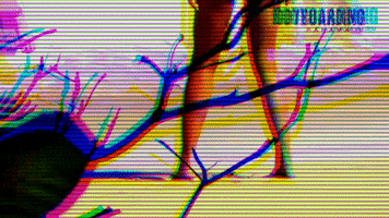 200.gif?cid=fc005b08db06459c1dd811ece8cc46b4a26d689996a68fd2&rid=200.gif&ct=g