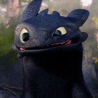 how to train your dragon smile GIF