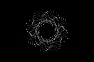 Animacao GIF