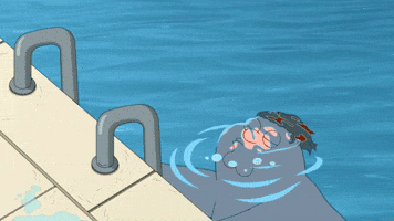 Swimming Pool Peter GIF by Family Guy